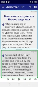 Romani Vlakh with English screenshot 3