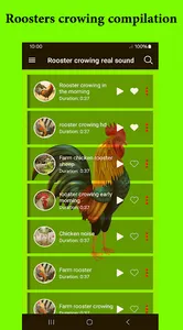 Rooster crowing real sound screenshot 0