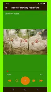 Rooster crowing real sound screenshot 3