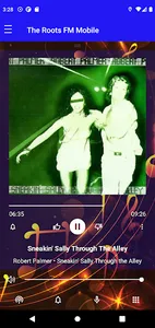 The Roots FM Radio screenshot 1
