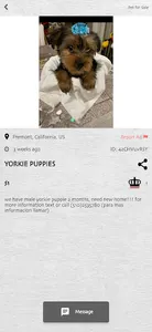 Royal Pet Farm screenshot 2