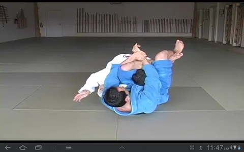 Blue Belt Requirements 1.0 screenshot 1