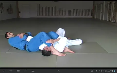 Blue Belt Requirements 1.0 screenshot 10