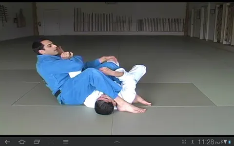 Blue Belt Requirements 1.0 screenshot 3