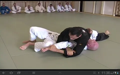 Blue Belt Requirements 1.0 screenshot 5