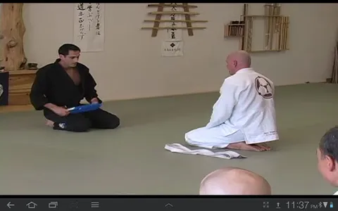 Blue Belt Requirements 1.0 screenshot 6