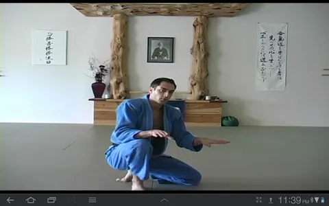 Blue Belt Requirements 1.0 screenshot 7