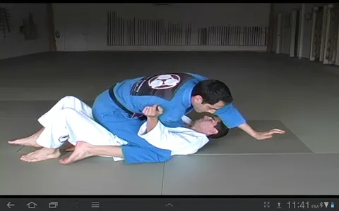 Blue Belt Requirements 1.0 screenshot 8