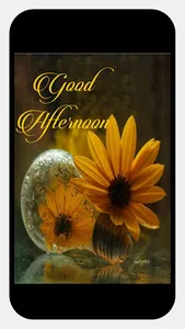 Good Afternoon Wishes screenshot 3