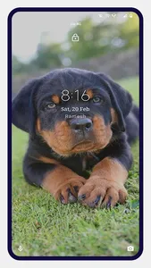 Rottweiler Dog Wallpapers screenshot 2