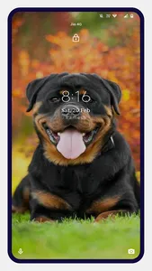 Rottweiler Dog Wallpapers screenshot 3