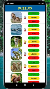 Animal Puzzles for Kids screenshot 1