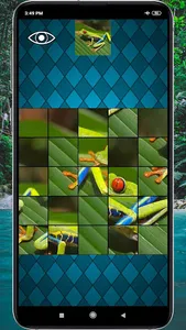 Animal Puzzles for Kids screenshot 12