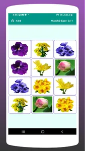 Picture Match: Flower Match screenshot 5