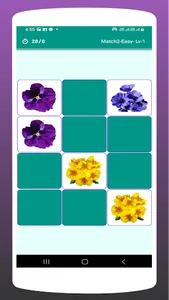 Picture Match: Flower Match screenshot 6