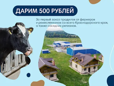 Ключевское: живые продукты screenshot 5