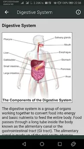 Human Anatomy screenshot 1