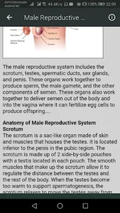 Human Anatomy screenshot 3