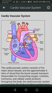 Human Anatomy screenshot 4
