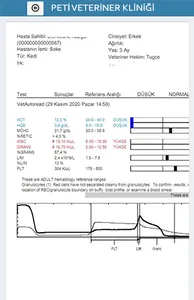 Rumipet Veteriner Kliniği screenshot 5