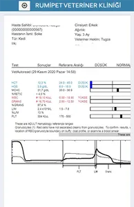 Rumipet Veteriner Kliniği screenshot 6