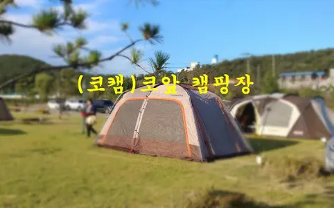 (코캠) 코앞 캠핑장 screenshot 0