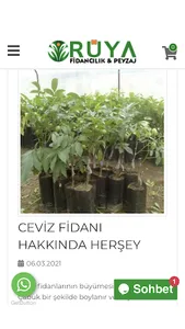 Rüya Peyzaj Fidancılık screenshot 4