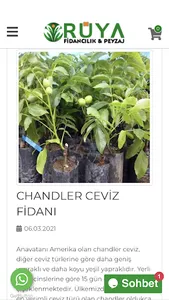 Rüya Peyzaj Fidancılık screenshot 5