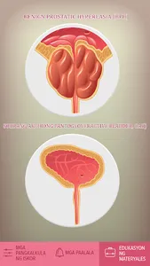 Diagnoluts PH screenshot 2