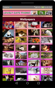 Lovely Cats Theme screenshot 2