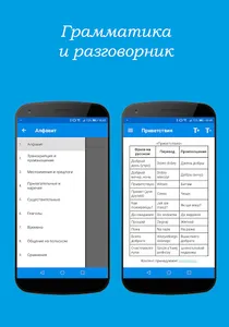 Польско-русский и русско-польс screenshot 3