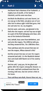 KJV Bible - Saddle Lights screenshot 3