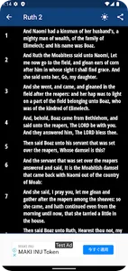 KJV Bible - Saddle Lights screenshot 4