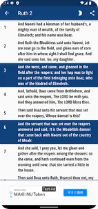KJV Bible - Saddle Lights screenshot 5