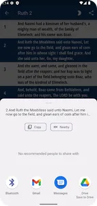 KJV Bible - Saddle Lights screenshot 6