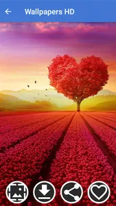 HD Wallpapers - 4K Wallpapers screenshot 10