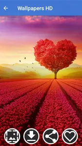 HD Wallpapers - 4K Wallpapers screenshot 16