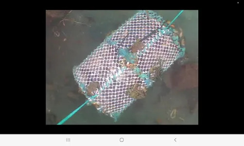 CatchCam screenshot 4