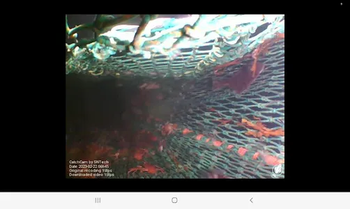 CatchCam screenshot 8