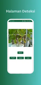 MeloAnalytics screenshot 4
