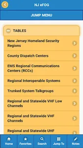 NJ eFOG screenshot 3