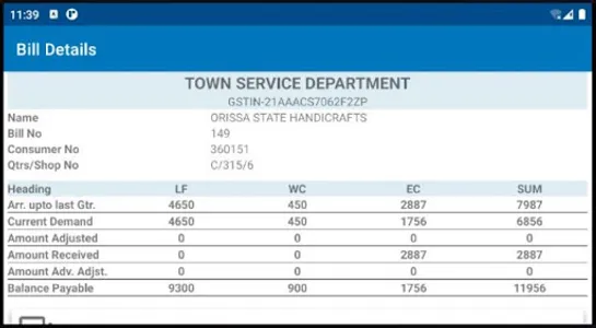 RSP TOWN SERVICES screenshot 4