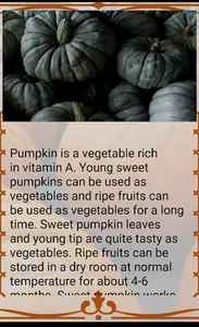 Sweet Pumpkin screenshot 1