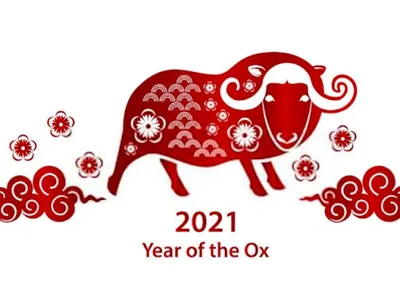 Chinese New Year Quotes Wallpa screenshot 0