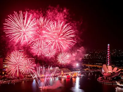 Firework Lunar New Year Wallpa screenshot 1