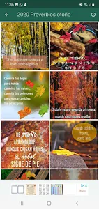 Feliz Otoño, bienvenido frío screenshot 1