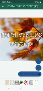 Feliz Otoño, bienvenido frío screenshot 14