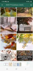 Feliz Otoño, bienvenido frío screenshot 3