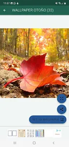 Feliz Otoño, bienvenido frío screenshot 5