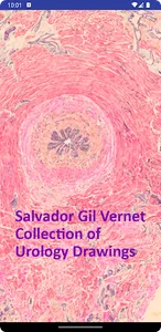 S. Gil Vernet screenshot 0